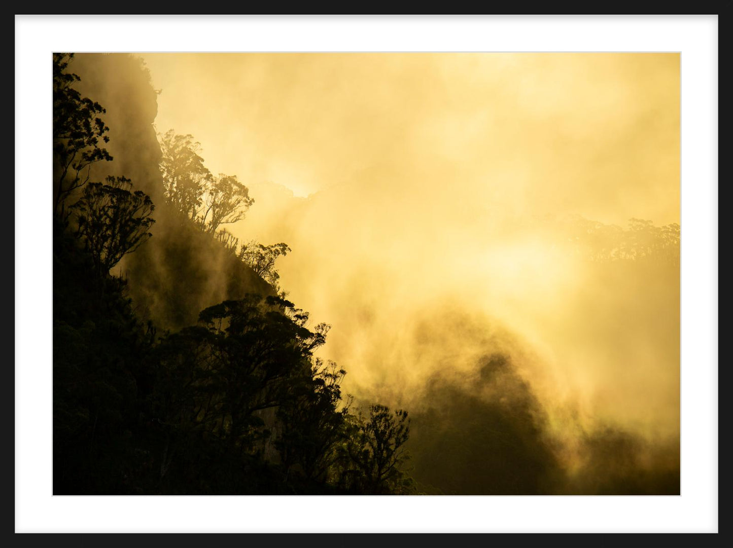 Veil on the Rim