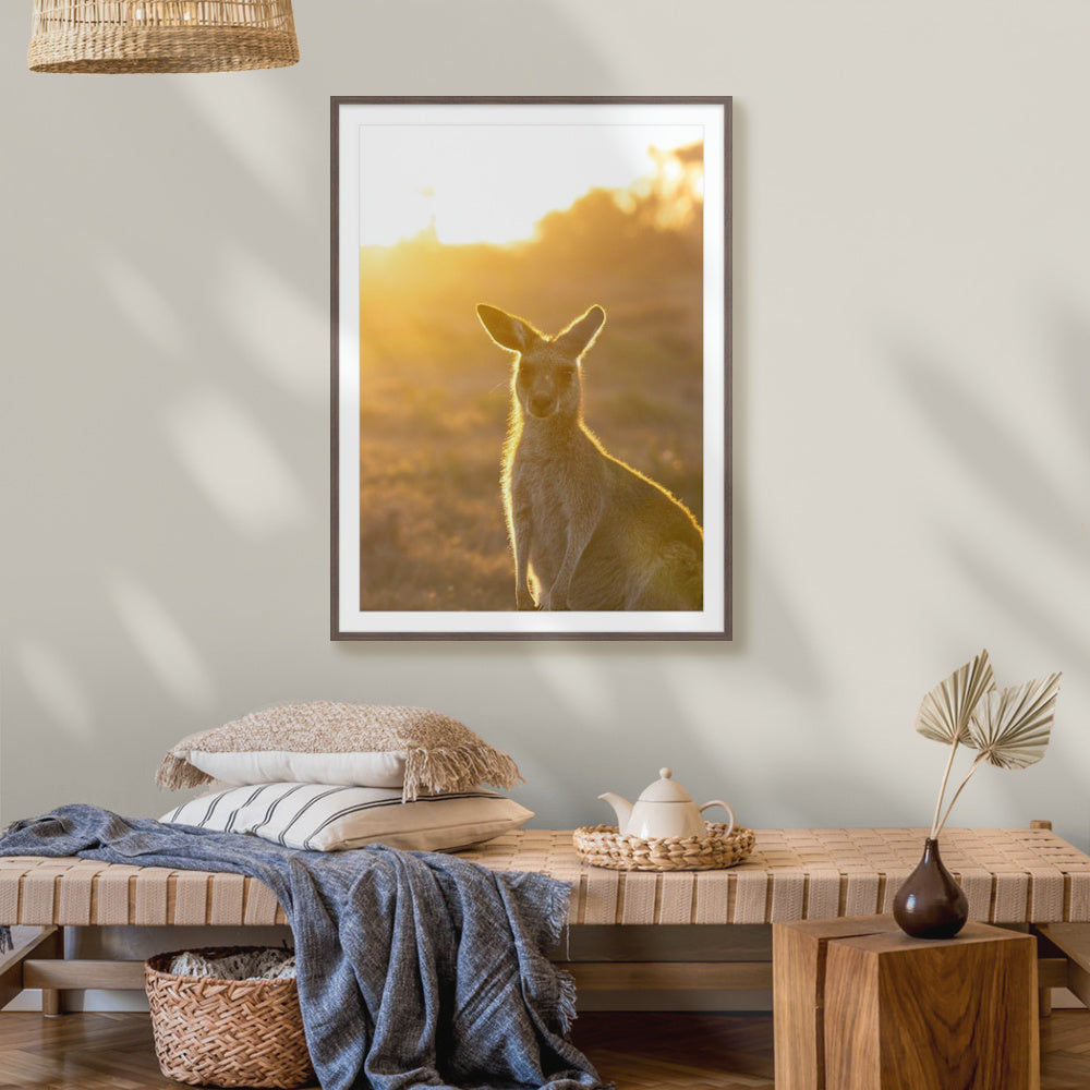 Evening Joey
