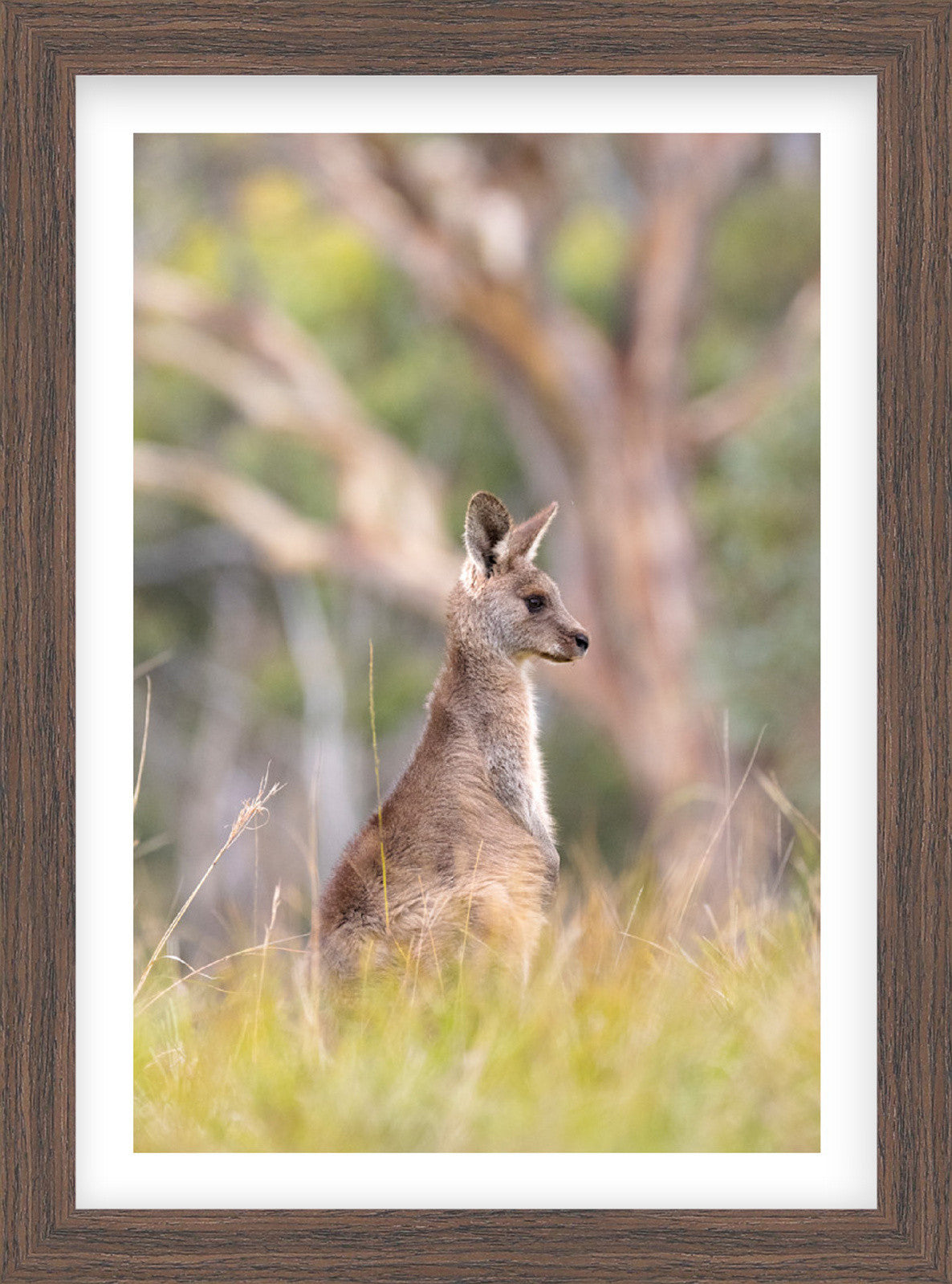 Little Encounters | Curated Wildlife Trio