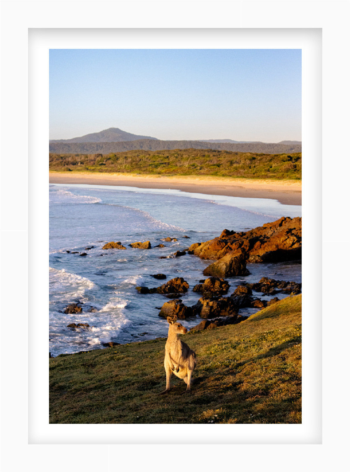 Salt & Sky | Curated Wildlife Trio
