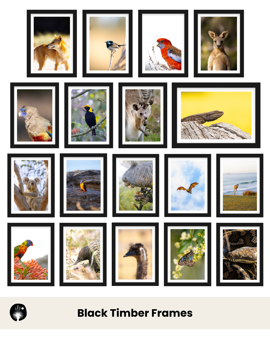 Build Your Own Collection | Australian Wildlife Prints