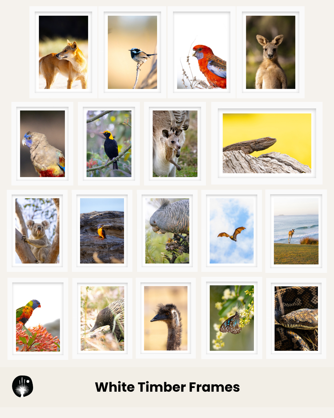Build Your Own Collection | Australian Wildlife Prints