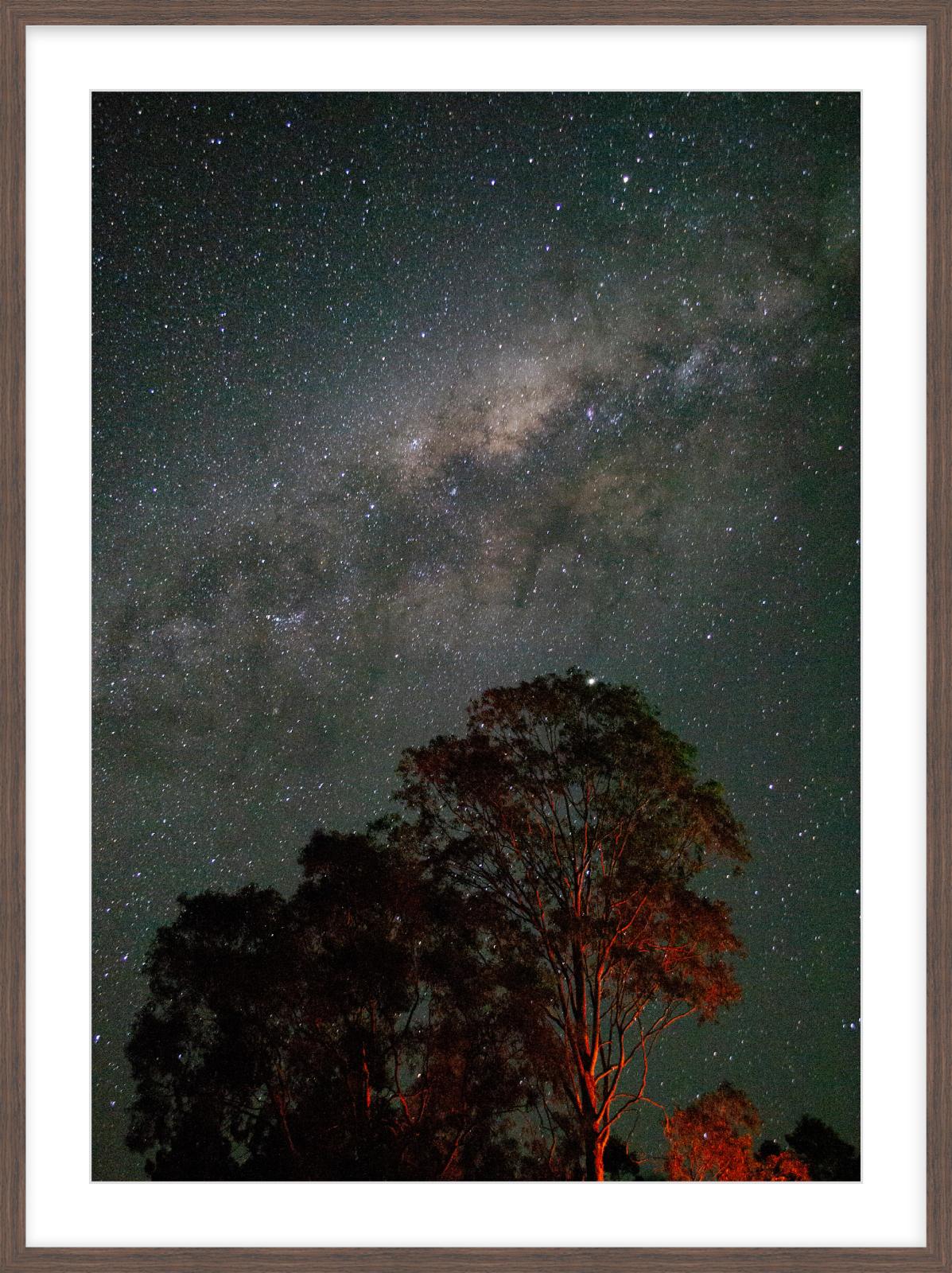 Moogerah Night