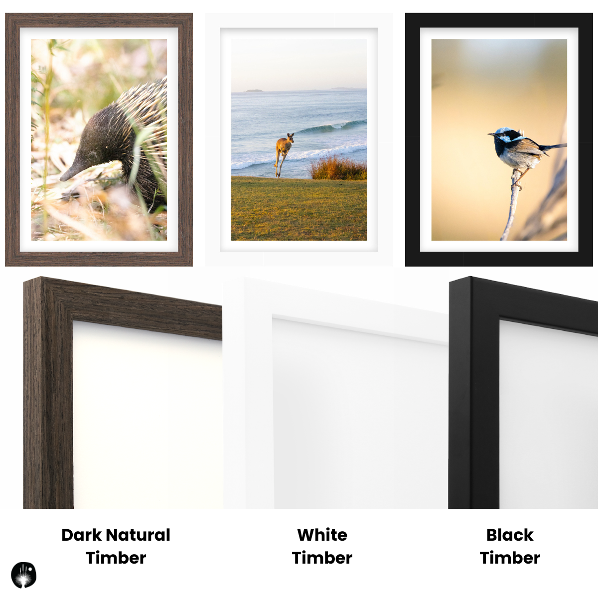 Build Your Own Collection | Australian Wildlife Prints