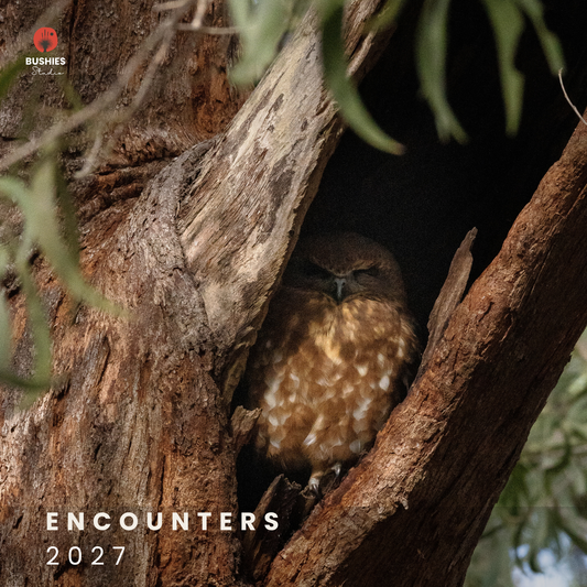 ENCOUNTERS 2027 | Australian Bird Calendar