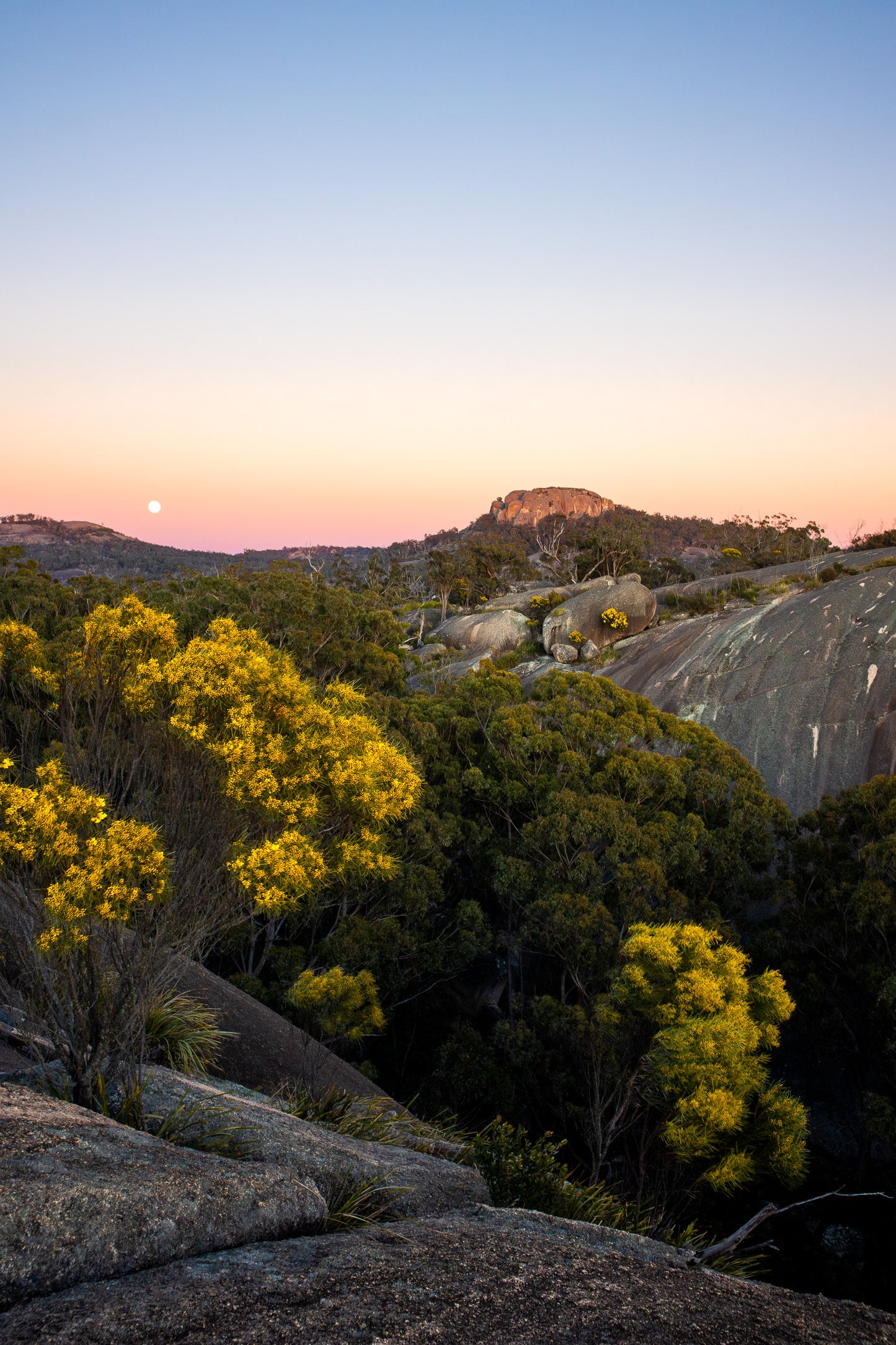 Wattle & Stone