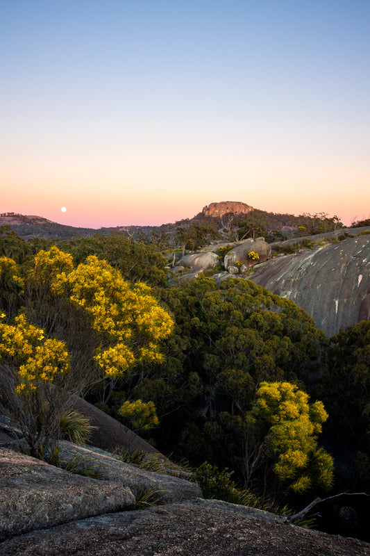 Wattle & Stone