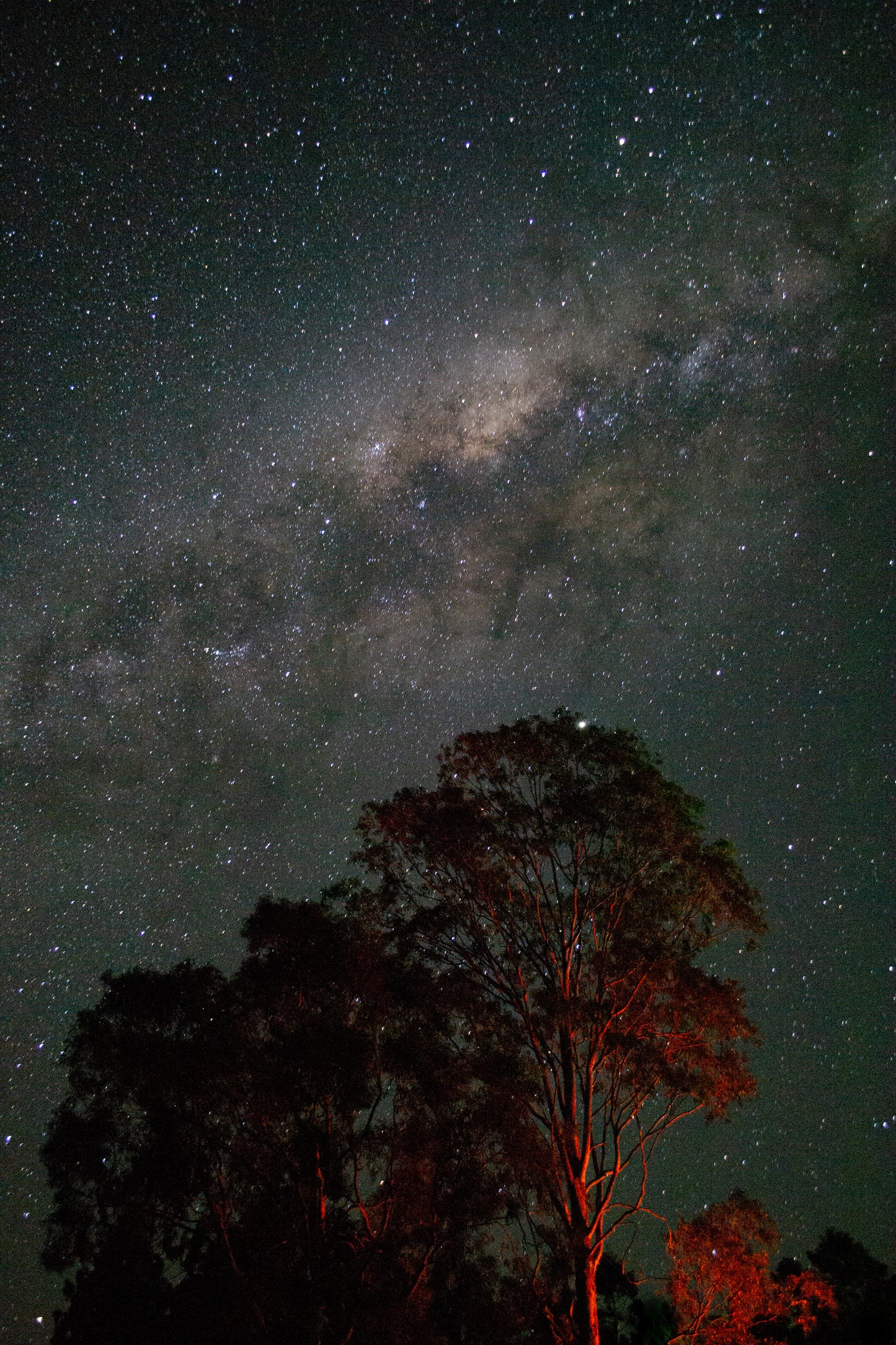 Moogerah Night