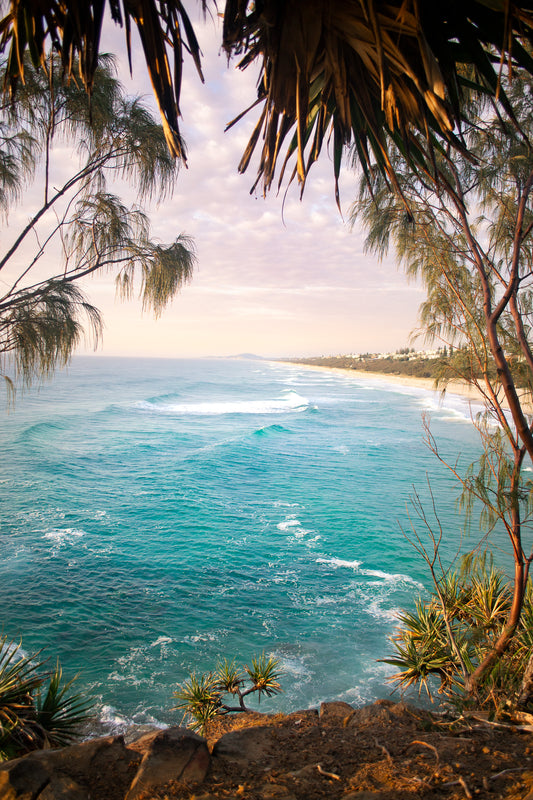 Coastal Window
