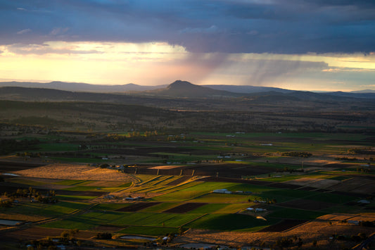 The Long Plain