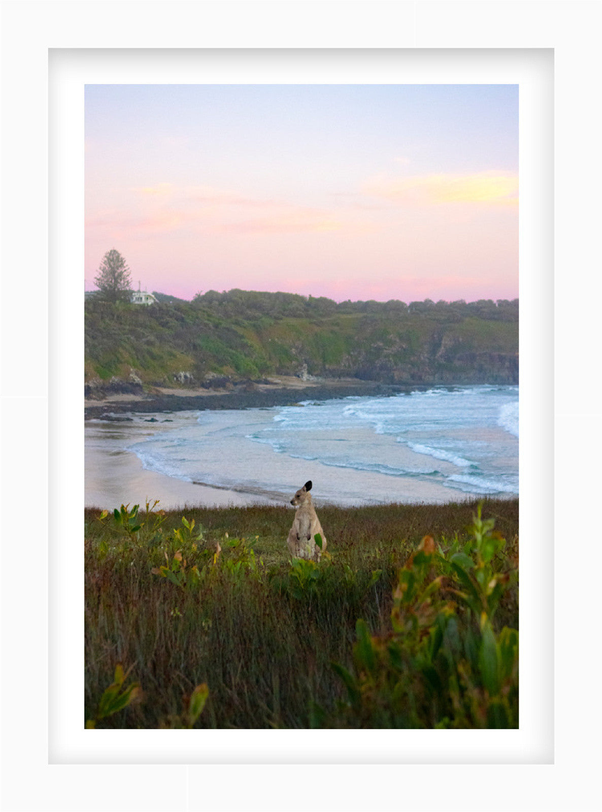 Salt & Sky | Curated Wildlife Trio