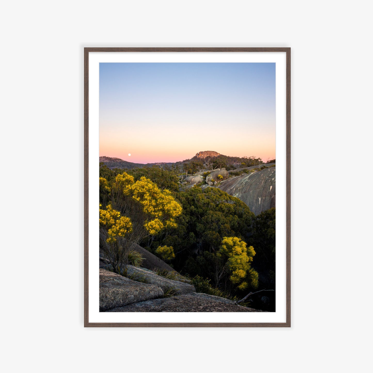 Wattle & Stone